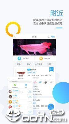 龍巔魚鄰