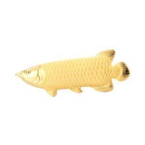 金龍魚(yú)魚(yú)王多少錢(qián)：金龍魚(yú)價(jià)格是多少