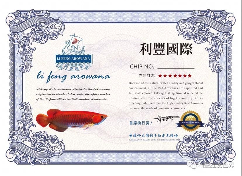 龍魚證書有用嗎（龍魚證書有用嗎龍魚證書用于證明龍魚的血統和價值）