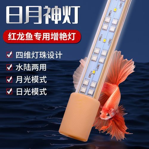 推薦幾款性價比高的LED龍魚燈