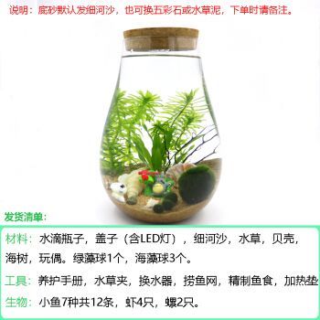 泓御智捷魚缸（泓御智捷魚缸用戶評(píng)價(jià)匯總） 泓御智捷魚缸（泓御智捷魚缸用戶評(píng)價(jià)匯總） 龍魚百科 第2張