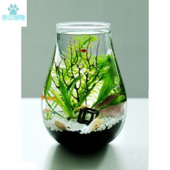 泓御智捷魚缸（泓御智捷魚缸用戶評(píng)價(jià)匯總） 泓御智捷魚缸（泓御智捷魚缸用戶評(píng)價(jià)匯總） 龍魚百科 第1張