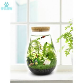 泓御智捷魚缸（泓御智捷魚缸用戶評(píng)價(jià)匯總） 泓御智捷魚缸（泓御智捷魚缸用戶評(píng)價(jià)匯總） 龍魚百科 第3張