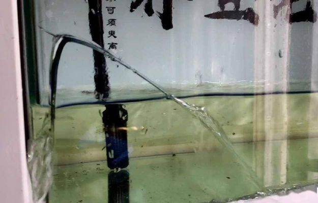 魚缸一般可以使用多少年的壽命,如何正確保養延長魚缸壽命 龍魚百科 第1張 魚缸一般可以使用多少年的壽命,如何正確保養延長魚缸壽命 魚缸一般可以使用多少年的壽命,如何正確保養延長魚缸壽命 龍魚百科 第1張
