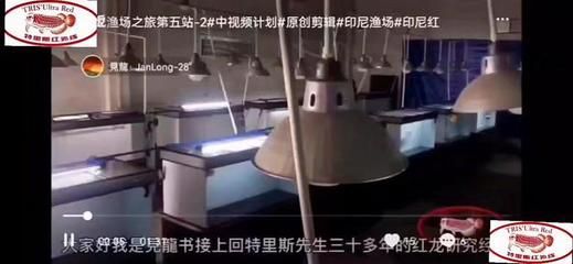 特里斯紅外線批發(fā)：深圳市龍華區(qū)特里斯萬吉紅外線商貿(mào)中心和廣州特里斯紅外線漁場