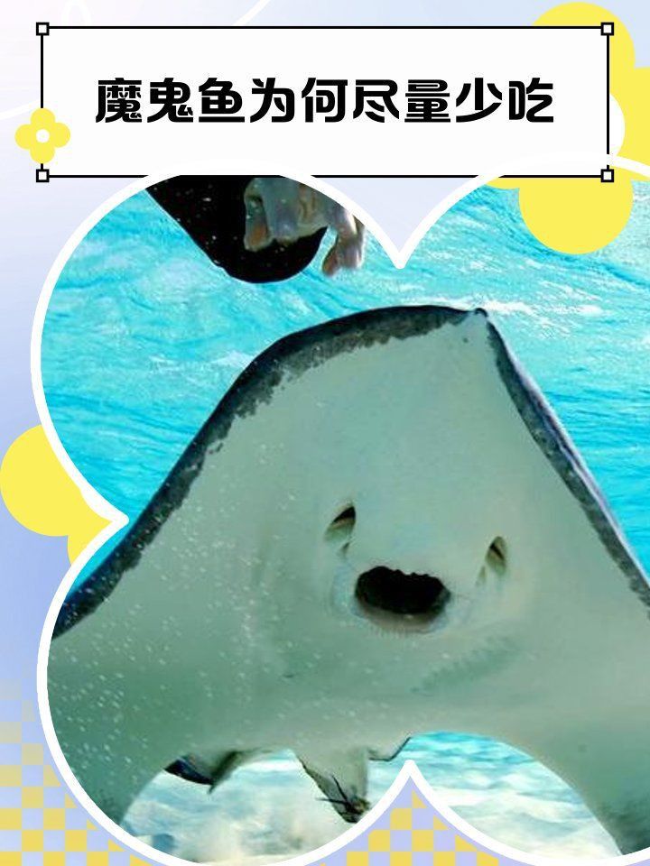魔鬼魚盡量少吃的原因