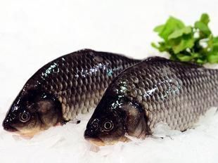 龍魚中的大湖魚是什么意思：印尼紅龍與大湖魚文化背景探究大湖魚市場價格趨勢 龍魚中的大湖魚是什么意思：印尼紅龍與大湖魚文化背景探究大湖魚市場價格趨勢 龍魚百科 第5張