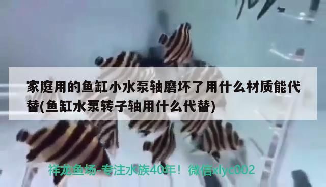 龍魚證書怎么查詢真假：如何查詢龍魚證書