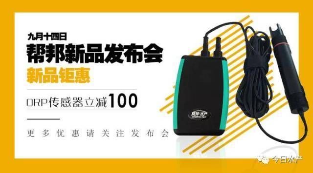 養(yǎng)龍魚水的硬度是多少：龍魚水質(zhì)硬度多少數(shù)值合適？全面解析理想水質(zhì)參數(shù)