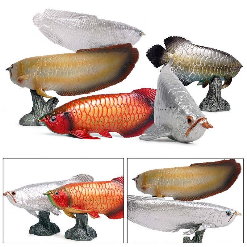 如何選擇適合銀龍魚的燈具：選擇合適的燈具對銀龍魚的健康和生活至關(guān)重要