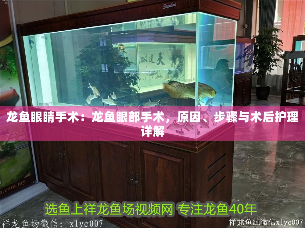 龍魚(yú)眼睛手術(shù)：龍魚(yú)眼部手術(shù)，原因、步驟與術(shù)后護(hù)理詳解
