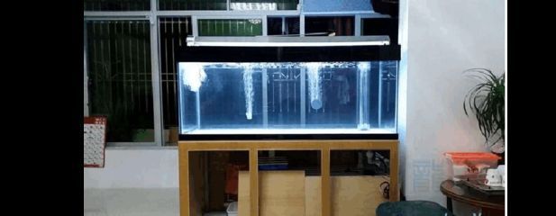 龍魚缸制作：龍魚缸造景創(chuàng)意分享