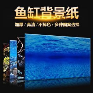 紅龍魚缸背景圖選擇什么好（養紅龍魚缸用什么背景好）