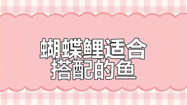 可以和蝴蝶鯉混養(yǎng)的魚