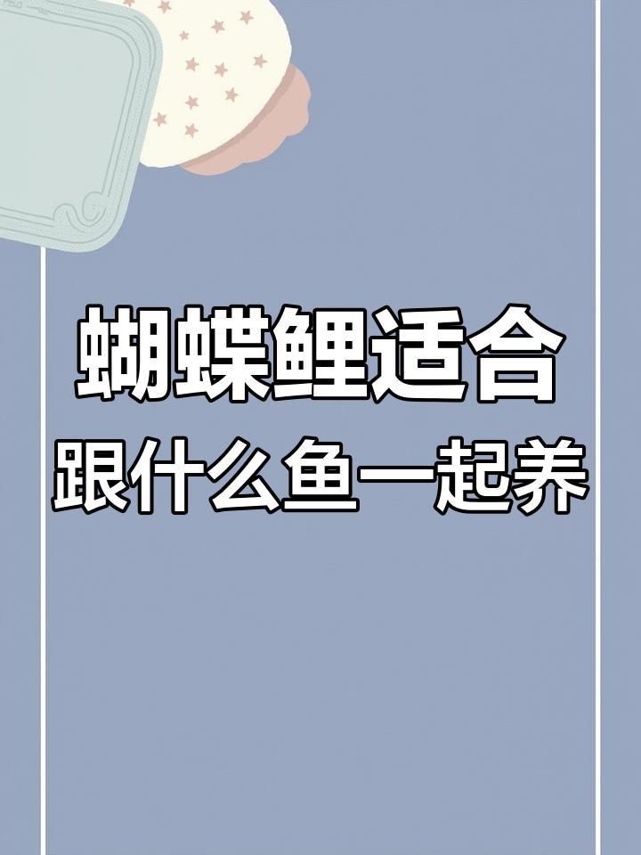 可以和蝴蝶鯉混養(yǎng)的魚