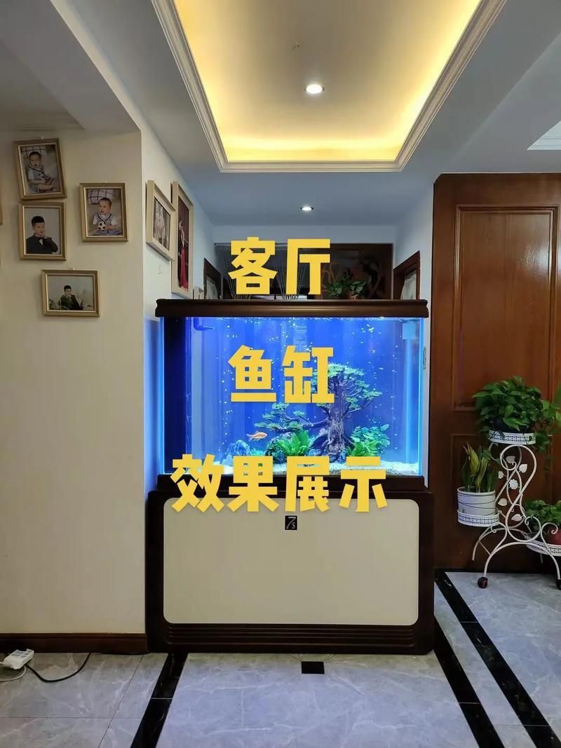 客廳魚缸效果圖大全