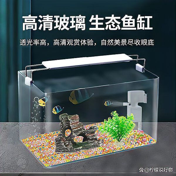 客廳魚缸效果圖大全