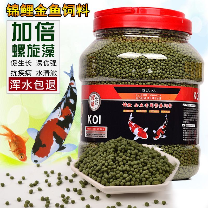 觀賞魚專用餌料品牌推薦：觀賞魚餌料營養魚專用餌料選擇
