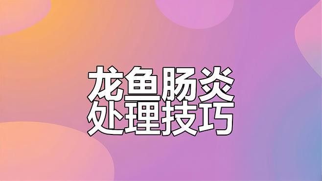 龍魚腸炎期間喂食注意事項？