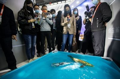 金龍魚研發：金龍魚在上海設立了研發中心并且在生產中使用了自主研發的菌種