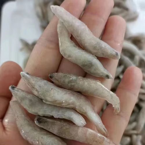 有哪些食物有助于金龍發(fā)色？