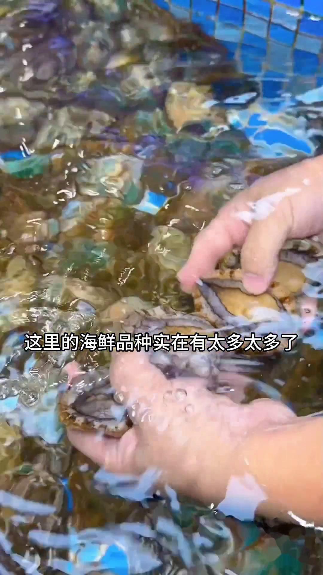 金港漁村海鮮酒樓