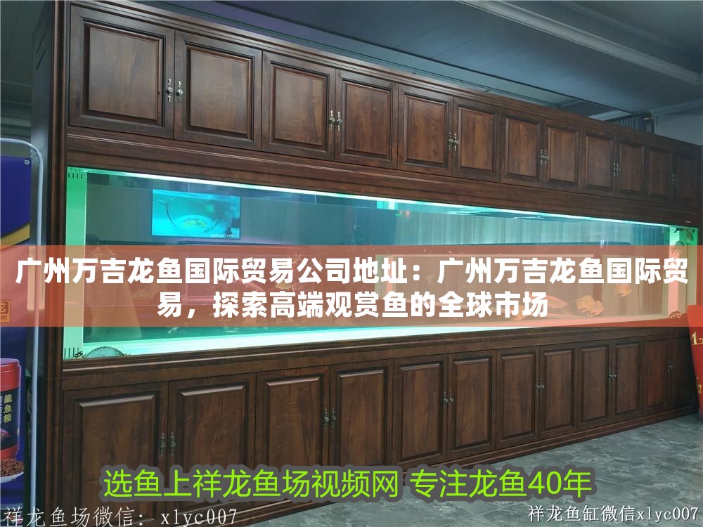 廣州萬吉龍魚國際貿(mào)易公司地址：廣州萬吉龍魚國際貿(mào)易，探索高端觀賞魚的全球市場
