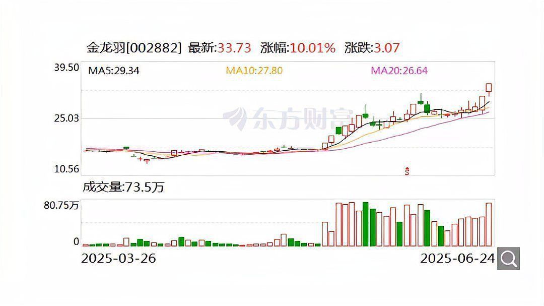 金龍羽2連板