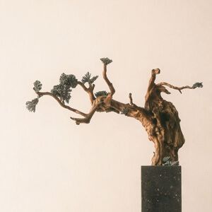 龍魚內寄生蟲多久會消失