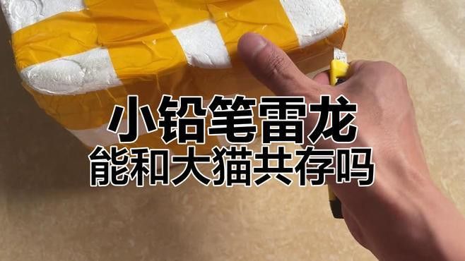 招財貓魚和龍魚混養需要注意什么？