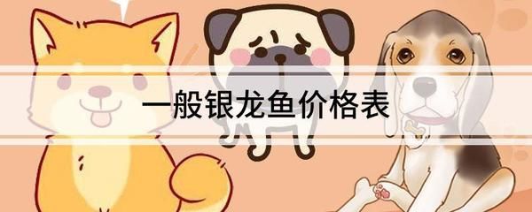 40厘米銀龍魚價格表圖片（40公分銀龍魚什么價格360問答）
