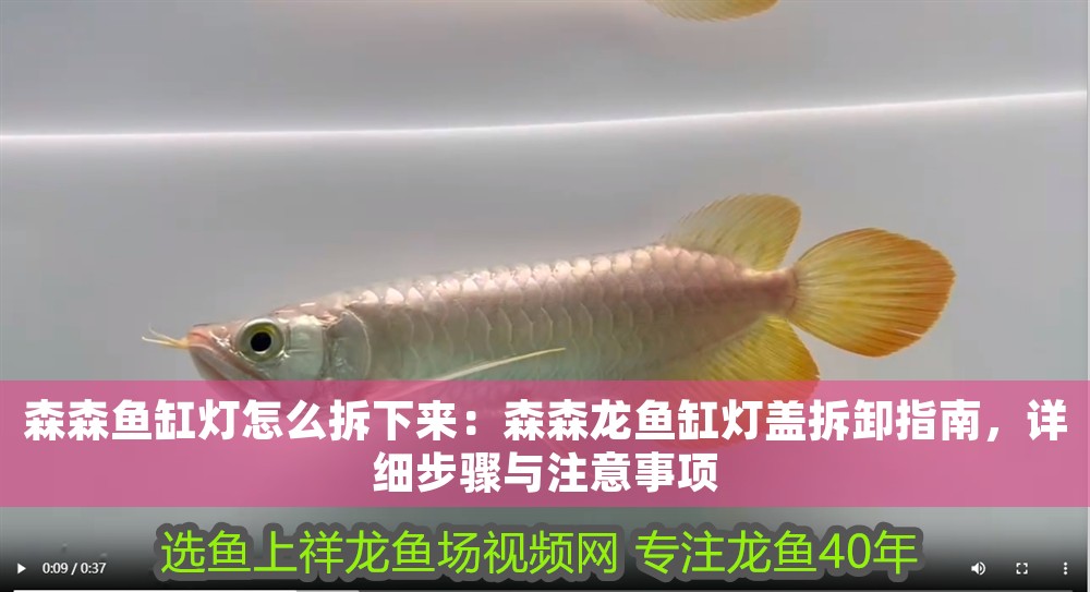 森森魚缸燈怎么拆下來：森森龍魚缸燈蓋拆卸指南，詳細步驟與注意事項