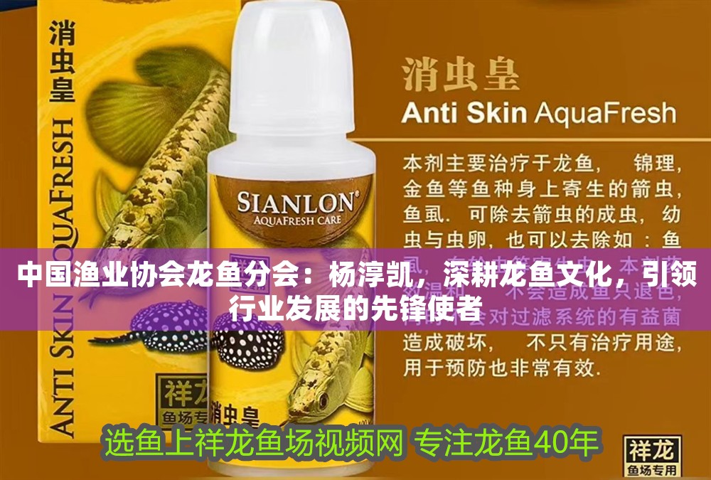 中國漁業協會龍魚分會：楊淳凱，深耕龍魚文化，引領行業發展的先鋒使者