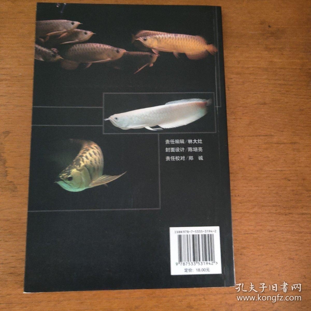 龍魚(yú)飼養(yǎng)手冊(cè)電子書(shū)（《龍魚(yú)飼養(yǎng)手冊(cè)》電子書(shū)pdf下載鏈接可用不直接可用）