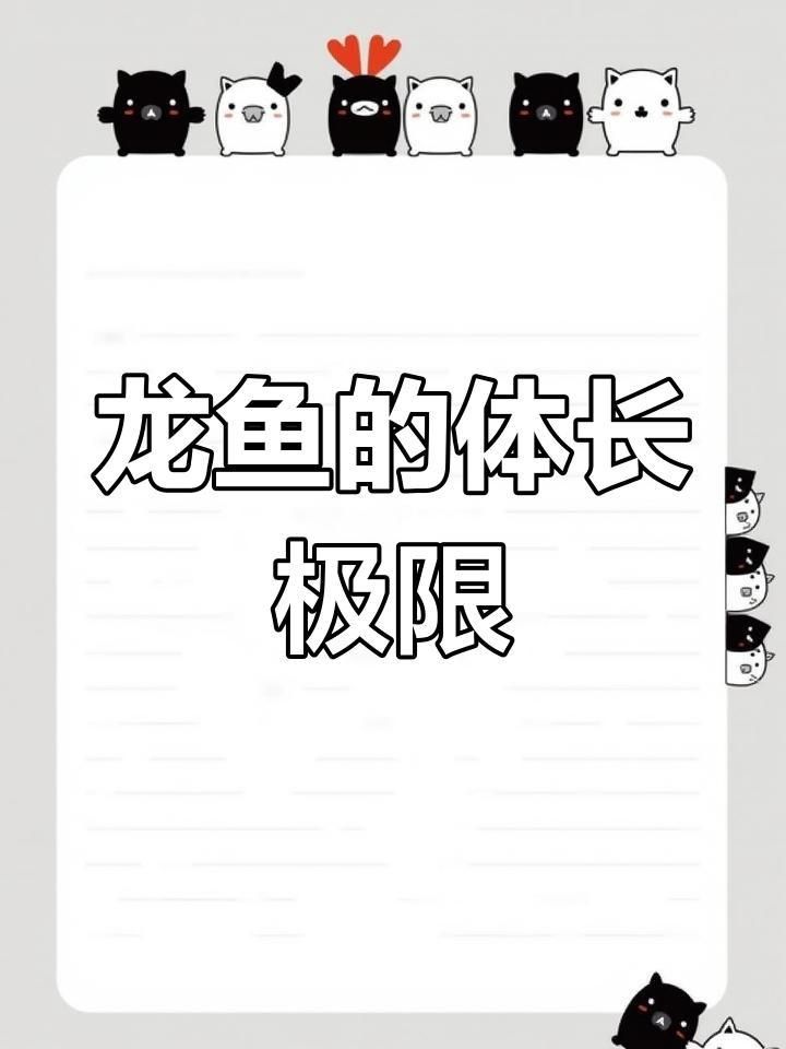 過背金龍魚成年后有多大？