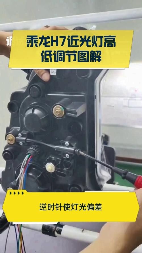 怎么預防金龍魚掉眼睛