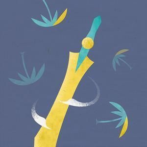 主角養(yǎng)觀賞魚發(fā)家的小說 龍魚百科 第6張 主角養(yǎng)觀賞魚發(fā)家的小說 主角養(yǎng)觀賞魚發(fā)家的小說 龍魚百科 第6張