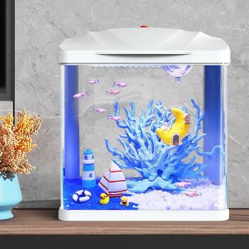 北京龍魚批發(fā)市場地址（北京龍魚批發(fā)市場交通指南）