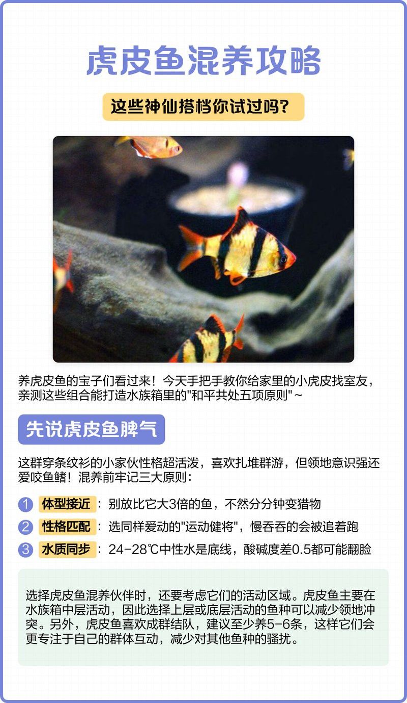 能推薦一些適合混養的底棲魚類嗎？
