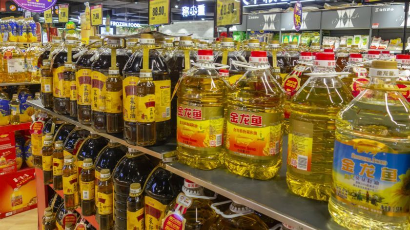 蘭州金龍魚（蘭州金龍魚市場價格趨勢蘭州金龍魚專賣店推薦）