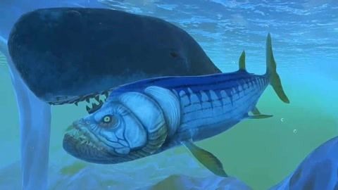 藍色金龍魚大獵殺（《海底大獵殺》海底大獵殺戰斗策略分享海底大獵殺戰斗策略分享）