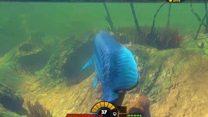 藍色金龍魚大獵殺（《海底大獵殺》海底大獵殺戰斗策略分享海底大獵殺戰斗策略分享）