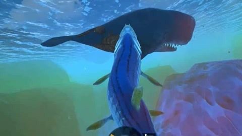 藍色金龍魚大獵殺（《海底大獵殺》海底大獵殺戰斗策略分享海底大獵殺戰斗策略分享）