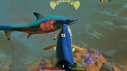 藍色金龍魚大獵殺（《海底大獵殺》海底大獵殺戰斗策略分享海底大獵殺戰斗策略分享）