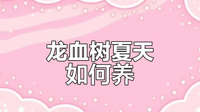 龍血樹澆水的最佳時(shí)間