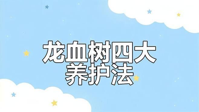 龍血樹澆水的最佳時(shí)間