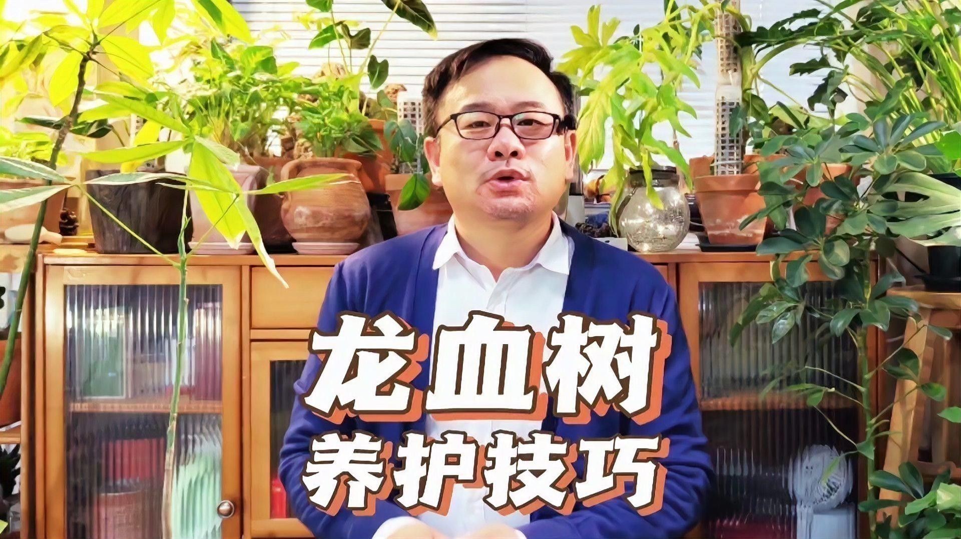 龍血樹澆水的最佳時(shí)間