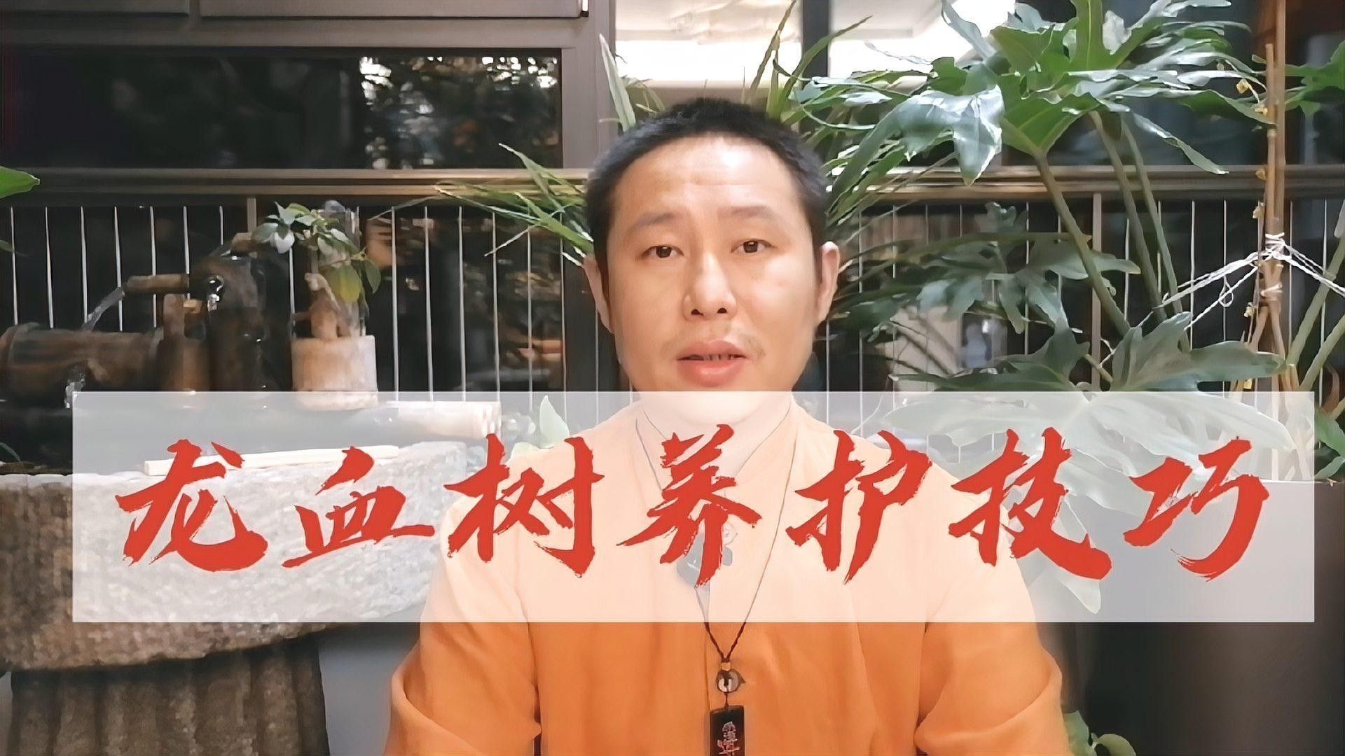 龍血樹澆水的最佳時(shí)間