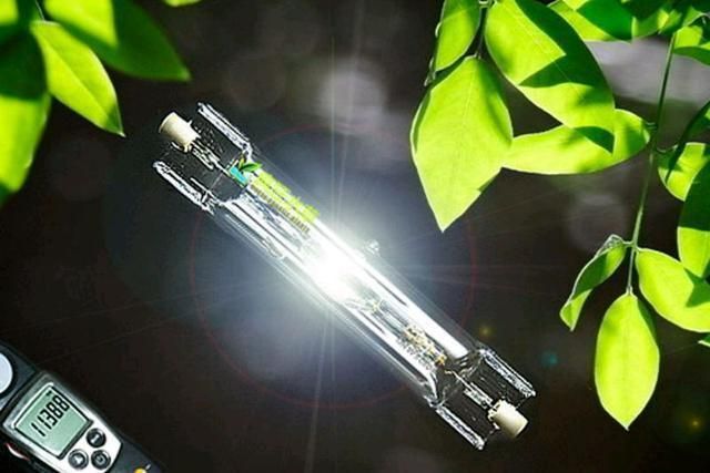 如何選擇觀賞魚專用燈具？：plus日月三基色紅龍魚專用燈具需要綜合考慮多個因素