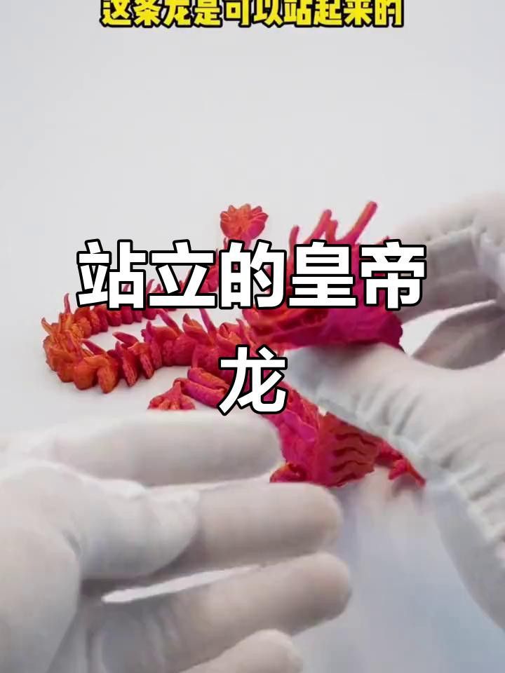 哪種龍蝦的肉質最好？